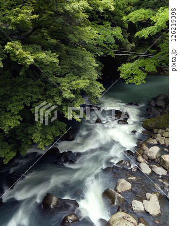 箱根の川の水流 箱根の川の水流 126219398