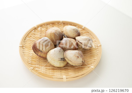 寿司ネタのトリ貝 寿司ネタのトリ貝 126219670