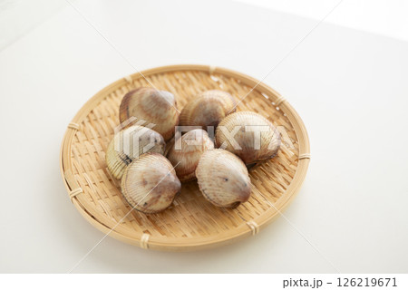 寿司ネタのトリ貝 126219671