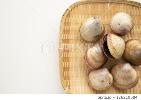 寿司ネタのトリ貝 126219684