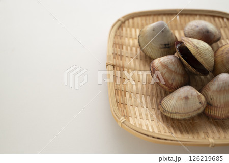 寿司ネタのトリ貝 寿司ネタのトリ貝 126219685