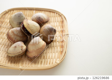 寿司ネタのトリ貝 126219686