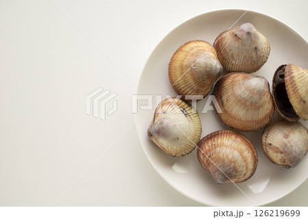 寿司ネタのトリ貝 126219699