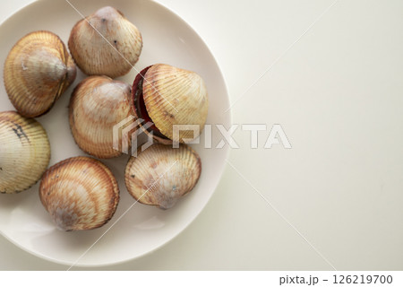 寿司ネタのトリ貝 126219700