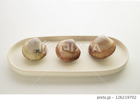 寿司ネタのトリ貝 126219702