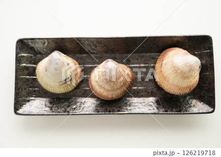 寿司ネタのトリ貝 126219718