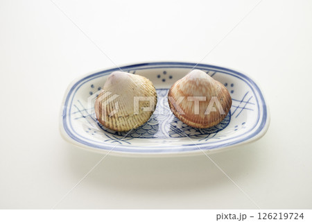 寿司ネタのトリ貝 126219724