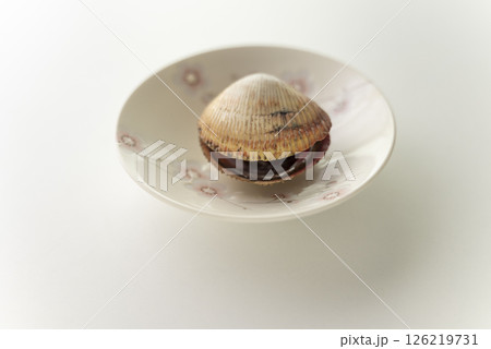 寿司ネタのトリ貝 126219731