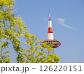京都駅ビルの屋上から見える京都タワーと竹と青い空 126220151
