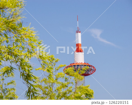 京都駅ビルの屋上から見える京都タワーと竹と青い空 126220151
