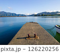 防波堤から見える青い海と空 126220256