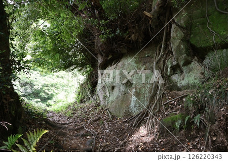 明月院切通入口（神奈川県鎌倉市山ノ内） 126220343
