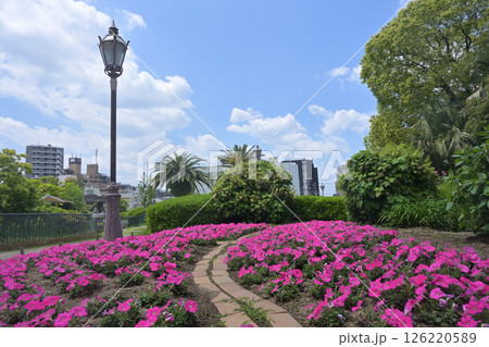東京都足立区　ベルモント公園 126220589