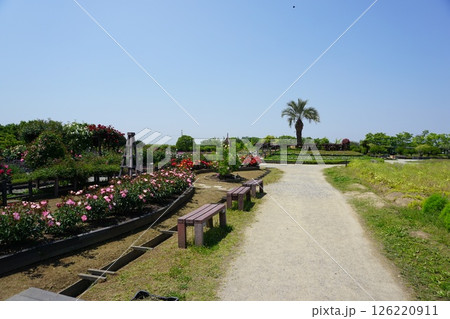 和泉リサイクル環境公園 126220911