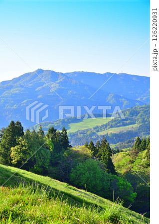 秩父高原牧場から清々しい山並の眺め　東秩父村 126220931