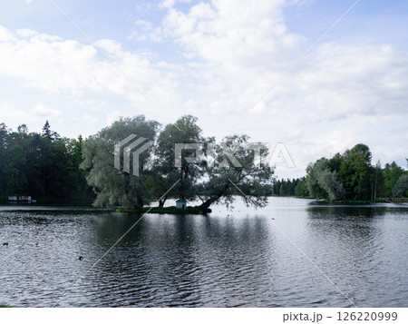 A lake surrounded by green trees on a cloudy day 126220999