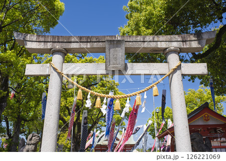 青空に泳ぐこいのぼりと新緑の木々 青空に泳ぐこいのぼりと新緑の木々 126221069