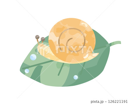 葉の上のカタツムリのイラスト 葉の上のカタツムリのイラスト 126221191