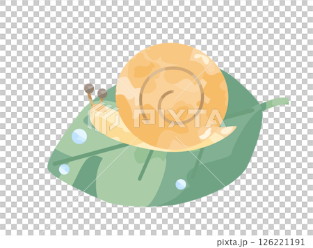 葉の上のカタツムリのイラスト 葉の上のカタツムリのイラスト 126221191