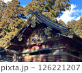 日光　想像のゾウ 126221207