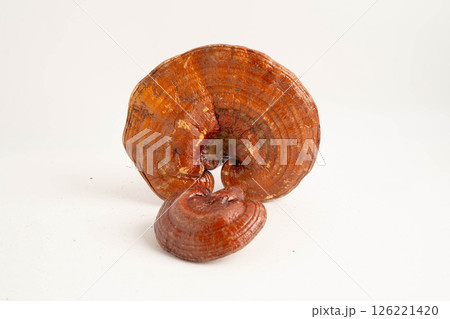 Lingzhi or Reishi mushroom with capsules, organic natural healthy food. 126221420