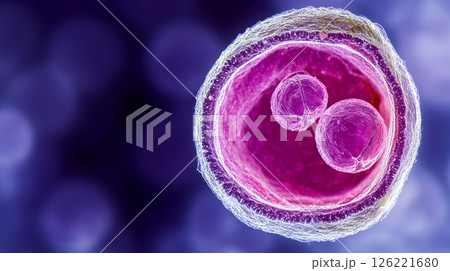 Microscopic View, Cellular Structure with Internal Spheres on Abstract Backdrop Microscopic View, Cellular Structure with Internal Spheres on Abstract Backdrop 126221680