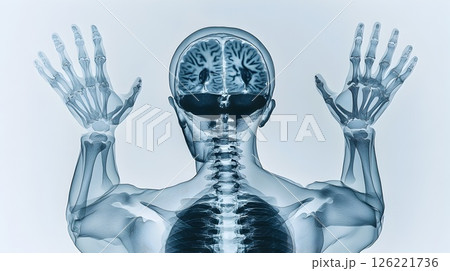 Anatomy blueprint skeletal structure visualizing intellect and extremities 126221736