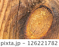 Tree knot texture with golden wood tones 126221782