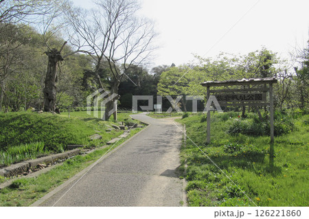 佐倉城址公園／入り口の表示板と風景【佐倉城跡・日本100名城】千葉県佐倉市 126221860