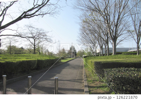 佐倉城址公園の風景【佐倉城跡・日本100名城】千葉県佐倉市 佐倉城址公園の風景【佐倉城跡・日本100名城】千葉県佐倉市 126221870