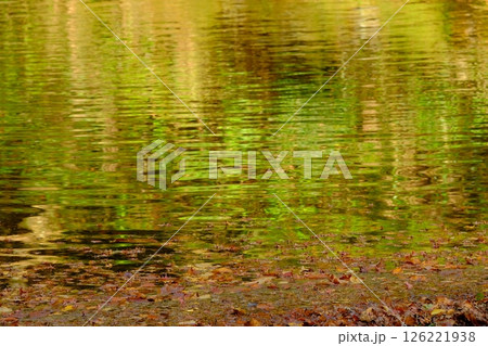 秋の貴船川と堰 126221938