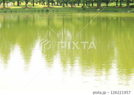 池のある公園 126221957