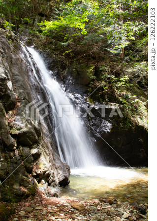 大島の滝（東海自然歩道　愛知県新城市） 126222103