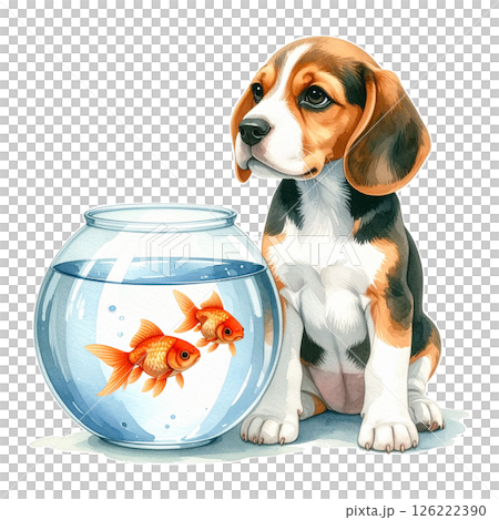 金魚鉢の隣に座るビーグルの子犬のイラスト2/チラシやポスター用素材 金魚鉢の隣に座るビーグルの子犬のイラスト2/チラシやポスター用素材 126222390