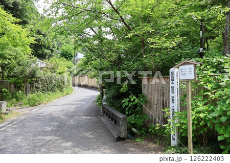 明月院前の明月院通り(神奈川県鎌倉市山ノ内) 明月院前の明月院通り(神奈川県鎌倉市山ノ内) 126222403