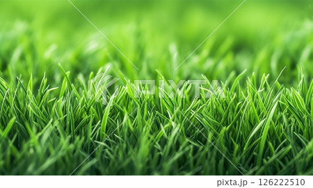 青々と茂る雑草の背景素材 126222510