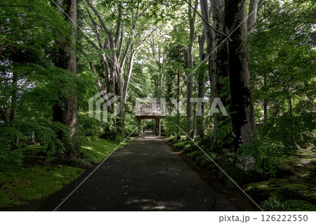 苔庭のある寺院として知られる最勝寺山門【茨城県筑西市】 苔庭のある寺院として知られる最勝寺山門【茨城県筑西市】 126222550