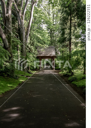 苔庭のある寺院として知られる最勝寺山門【茨城県筑西市】 苔庭のある寺院として知られる最勝寺山門【茨城県筑西市】 126222551