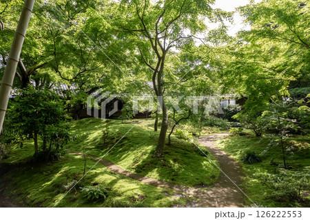 苔庭のある寺院として知られる最勝寺【茨城県筑西市】 126222553
