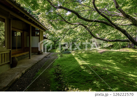 苔庭のある寺院として知られる最勝寺【茨城県筑西市】 苔庭のある寺院として知られる最勝寺【茨城県筑西市】 126222570