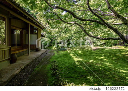 苔庭のある寺院として知られる最勝寺【茨城県筑西市】 126222572