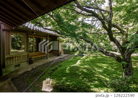 苔庭のある寺院として知られる最勝寺【茨城県筑西市】 126222590