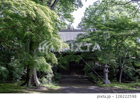 苔庭のある寺院として知られる最勝寺本堂 苔庭のある寺院として知られる最勝寺本堂 126222598