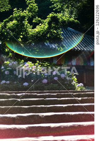 紫陽花の寺とレンズフレア ポップアート 紫陽花の寺とレンズフレア ポップアート 126222696