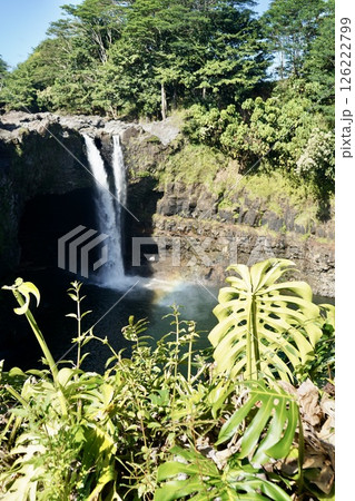 ハワイ島ヒロの滝 126222799