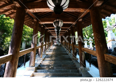 奈良長谷寺の回廊　ポップアート 126222874