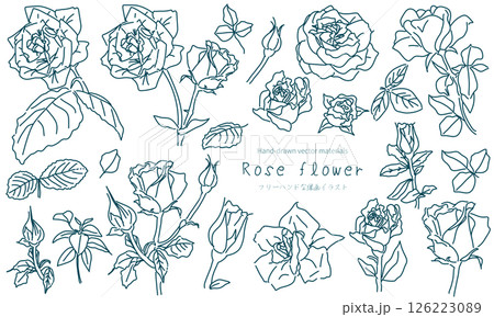 シンプルなバラの線画イラストセットのイラスト素材 [126223089] - PIXTA
