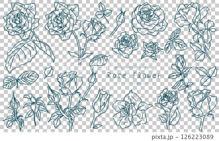 Simple rose line drawing illustration set Simple rose line drawing illustration set 126223089