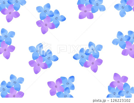 紫陽花の花びら　背景イラスト 126223102
