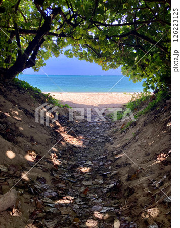 百名ビーチ・ひゃくなビーチ（沖縄県・南城市） 126223125